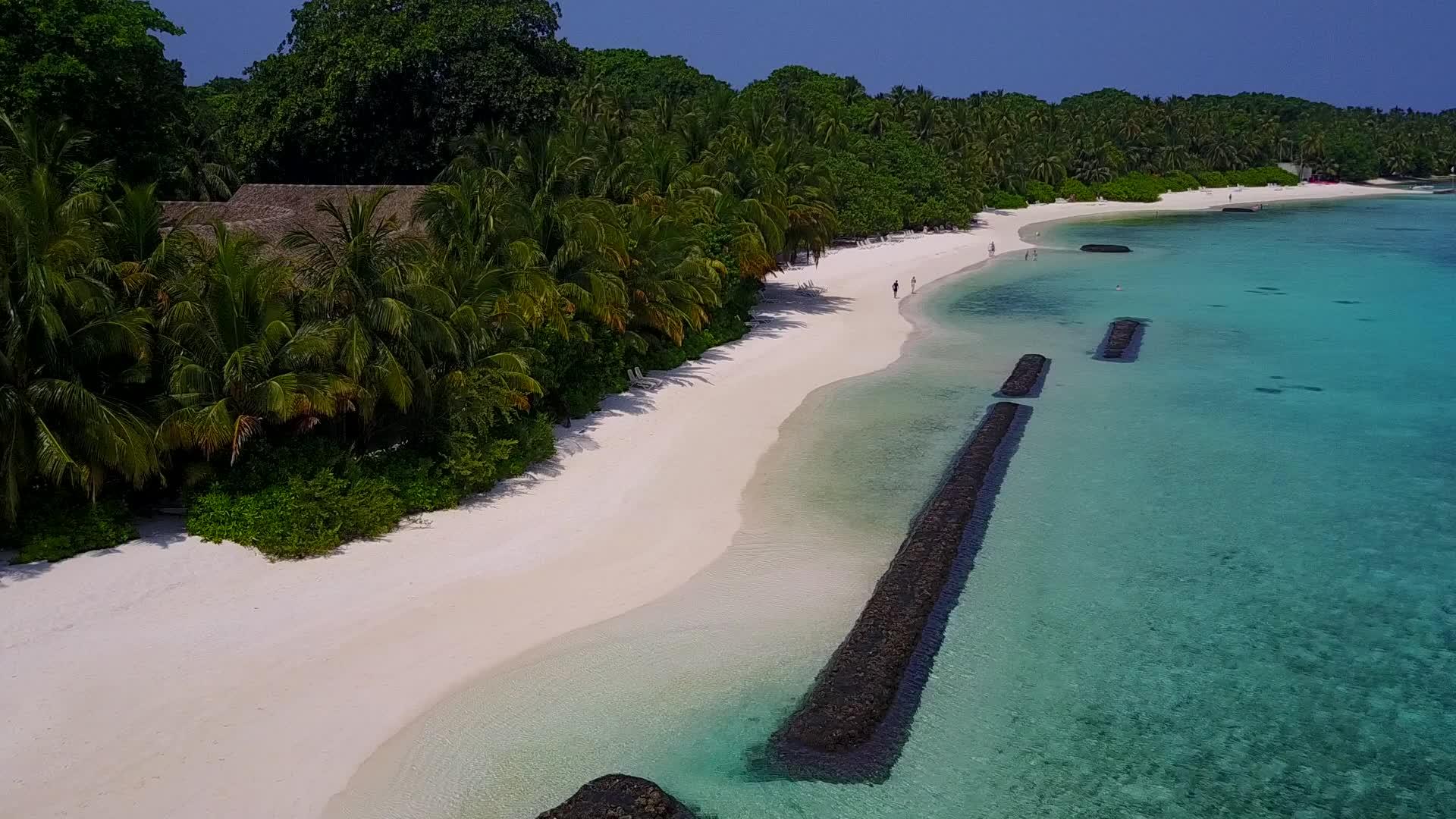 蓝海和白色沙滩背景的海洋岛屿海滩在珊瑚礁附近视频的预览图