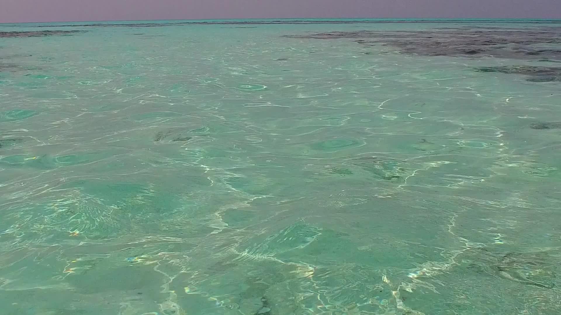 夏天在海滩附近有一个白色背景的清澈的海滩上旅行视频的预览图