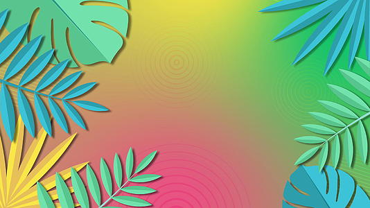 夏季多彩圈背景4k带有热带叶片的平板动画运动图形视频的预览图