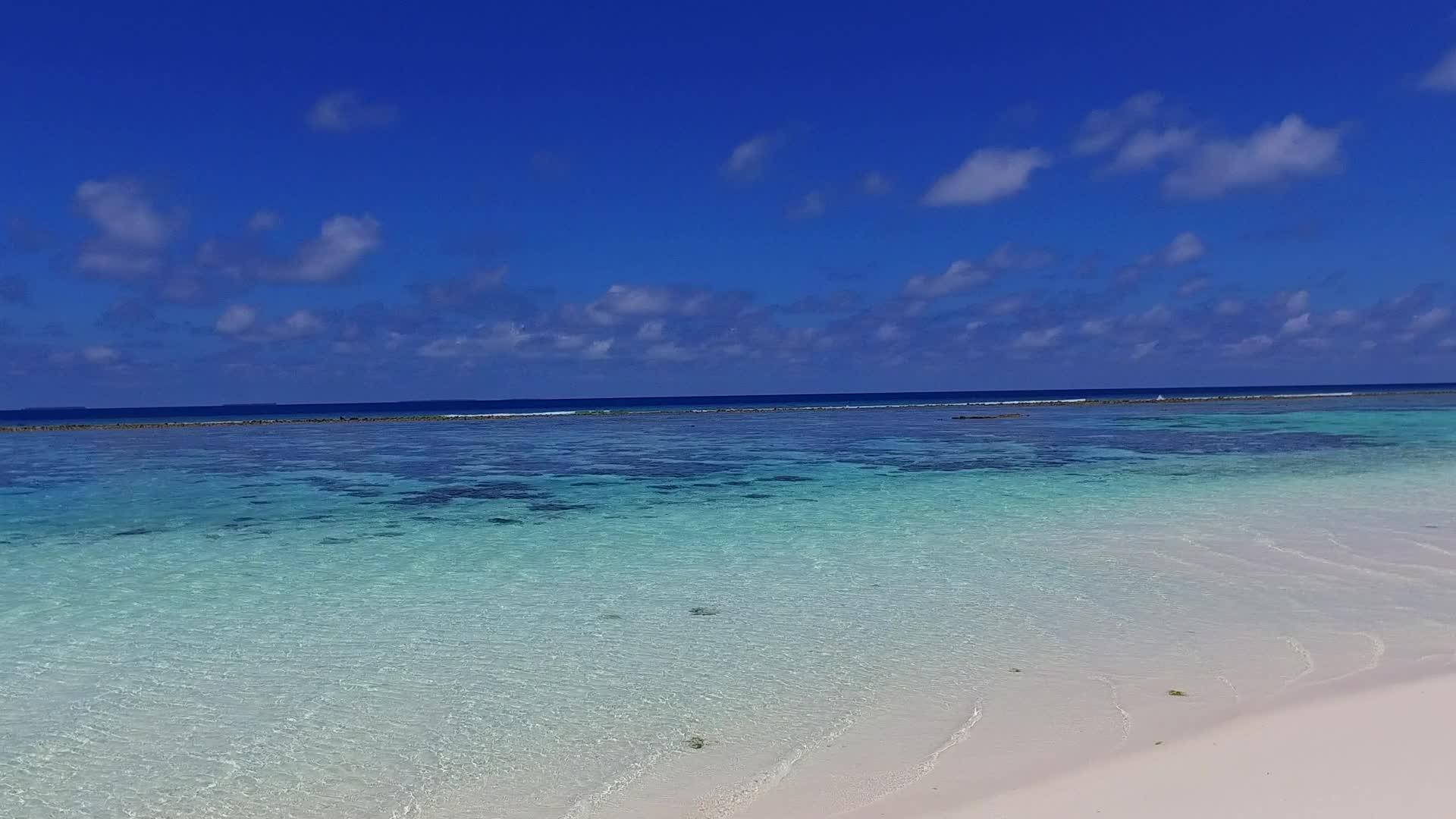 宁静度假胜地海滩野生动物的浪漫海洋场景视频的预览图