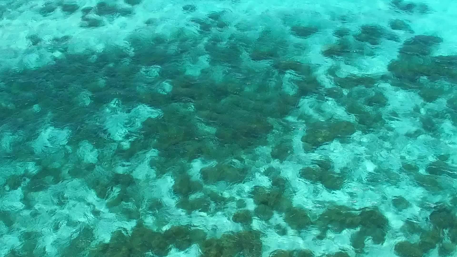 蓝海和沙洲附近的白沙背景完美的旅游海滩之旅视频的预览图