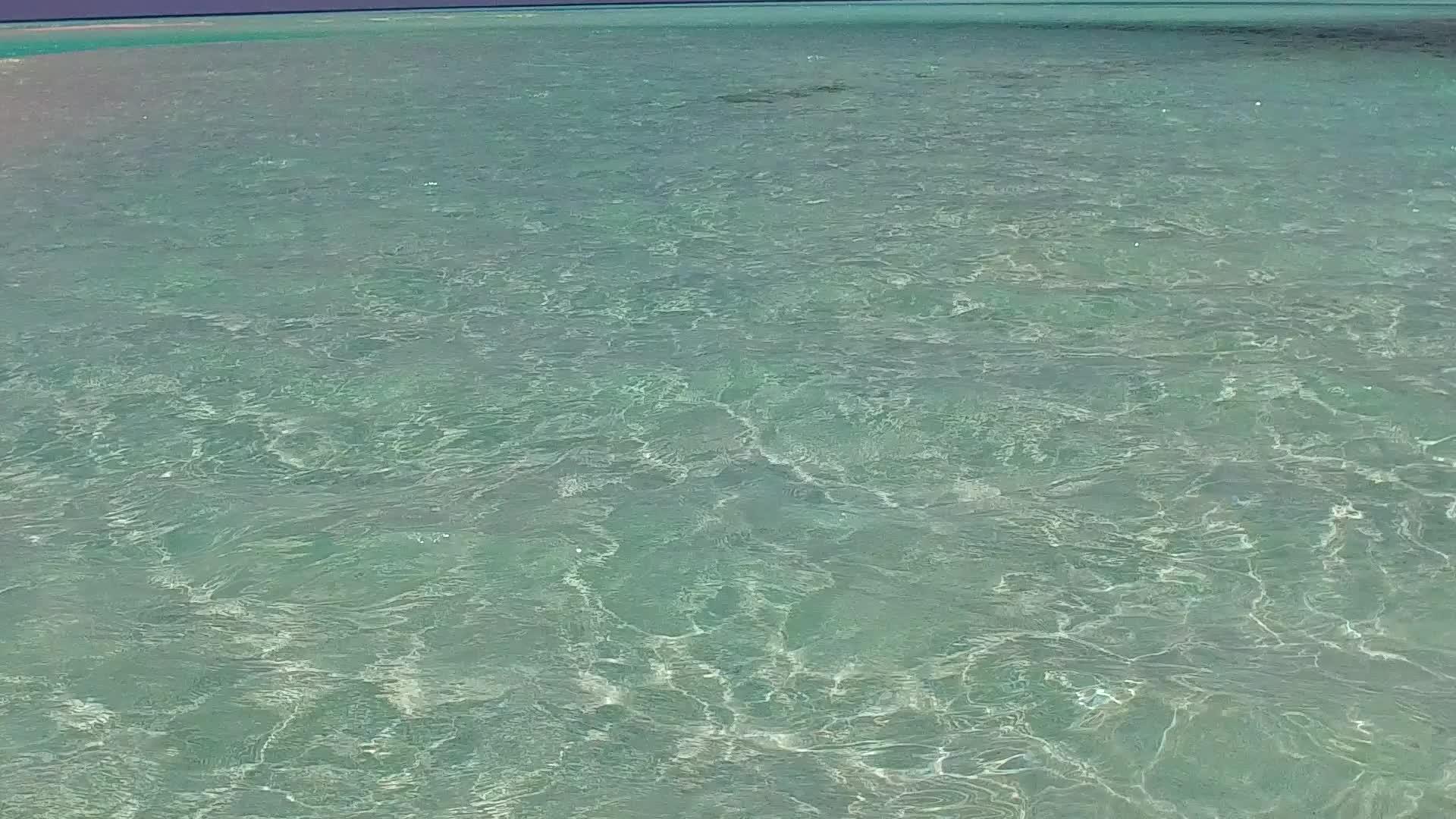 在透明的水和棕榈树附近的白沙为背景观察海滩时间的宁静海景视频的预览图