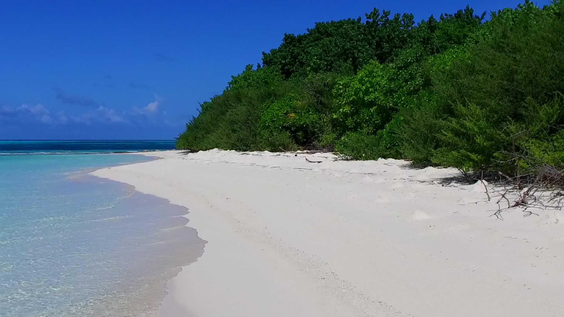 海滩海浪绿岛视频的预览图