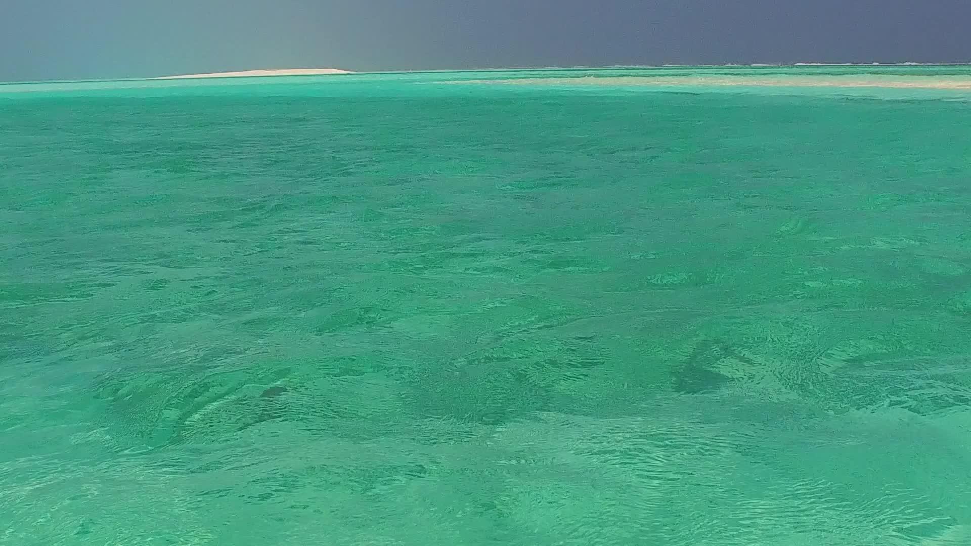 白沙附近的棕榈视频的预览图