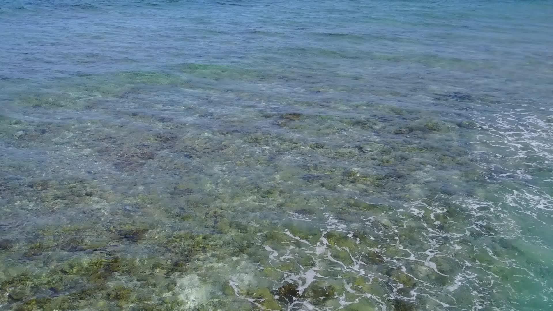 浅环礁湖视频的预览图