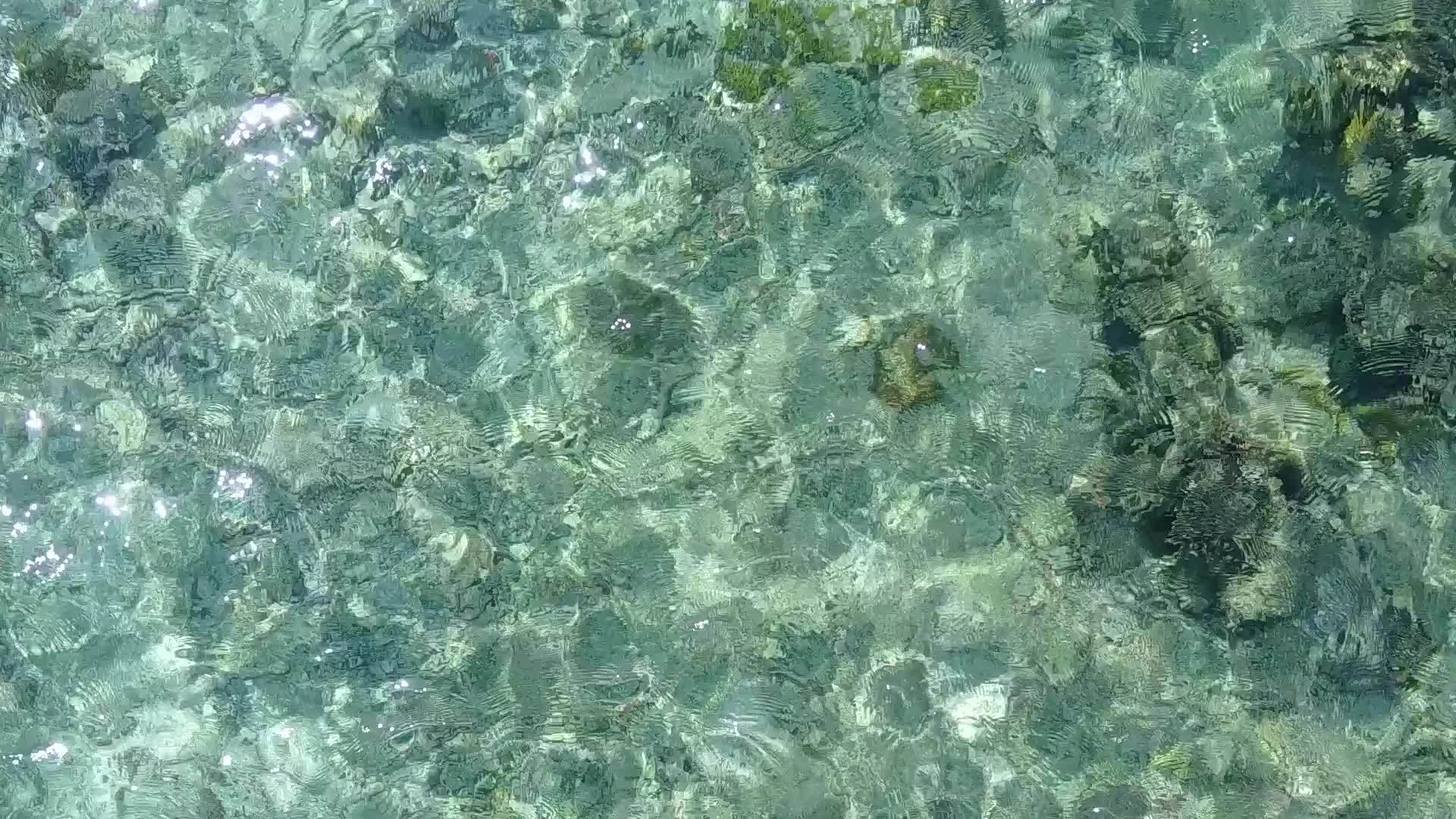 在光天化日之下以蓝海和白沙为背景的豪华海滨海滩探索抽象视频的预览图