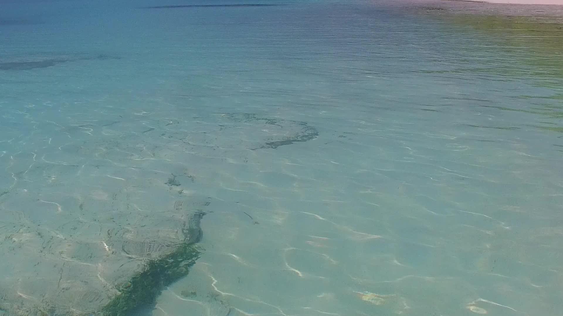 蓝色的海洋和棕榈树附近的白色沙滩背景的海滩时间是开放和豪华的视频的预览图