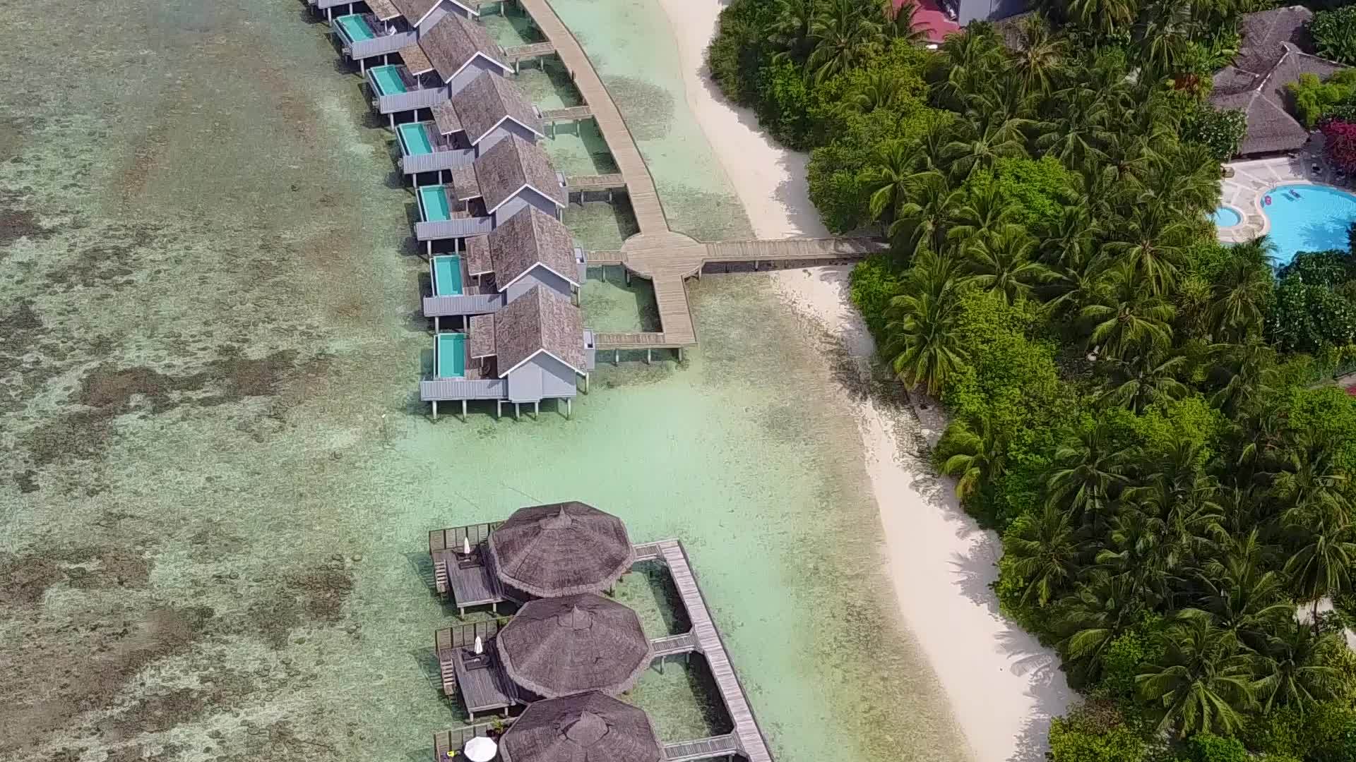 干净的蓝色海洋和棕榈树附近的豪华岛屿视频的预览图