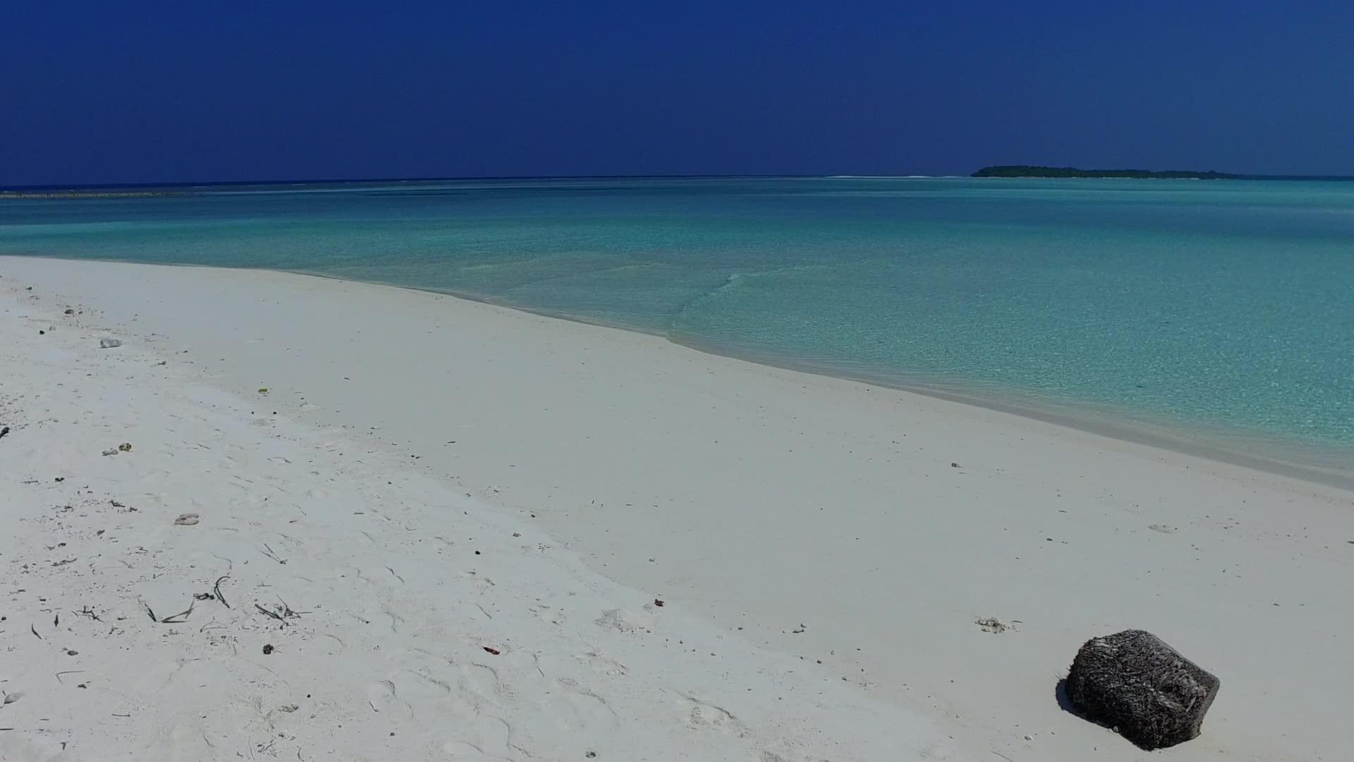 天堂度假村海滩野生动物在蓝海和沙洲附近的白沙背景视频的预览图