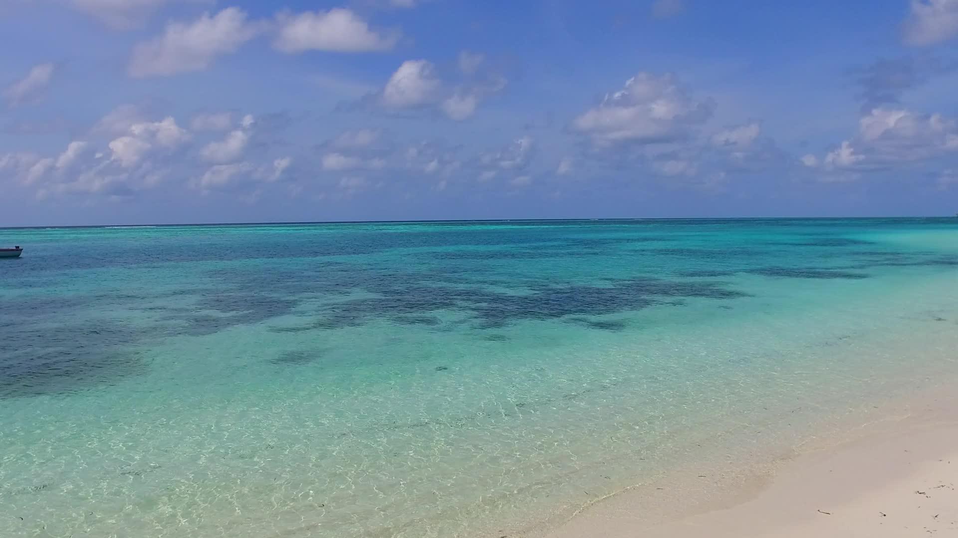 美丽的度假胜地天空紧闭海滩上的野生生物被松绿环礁湖环绕视频的预览图