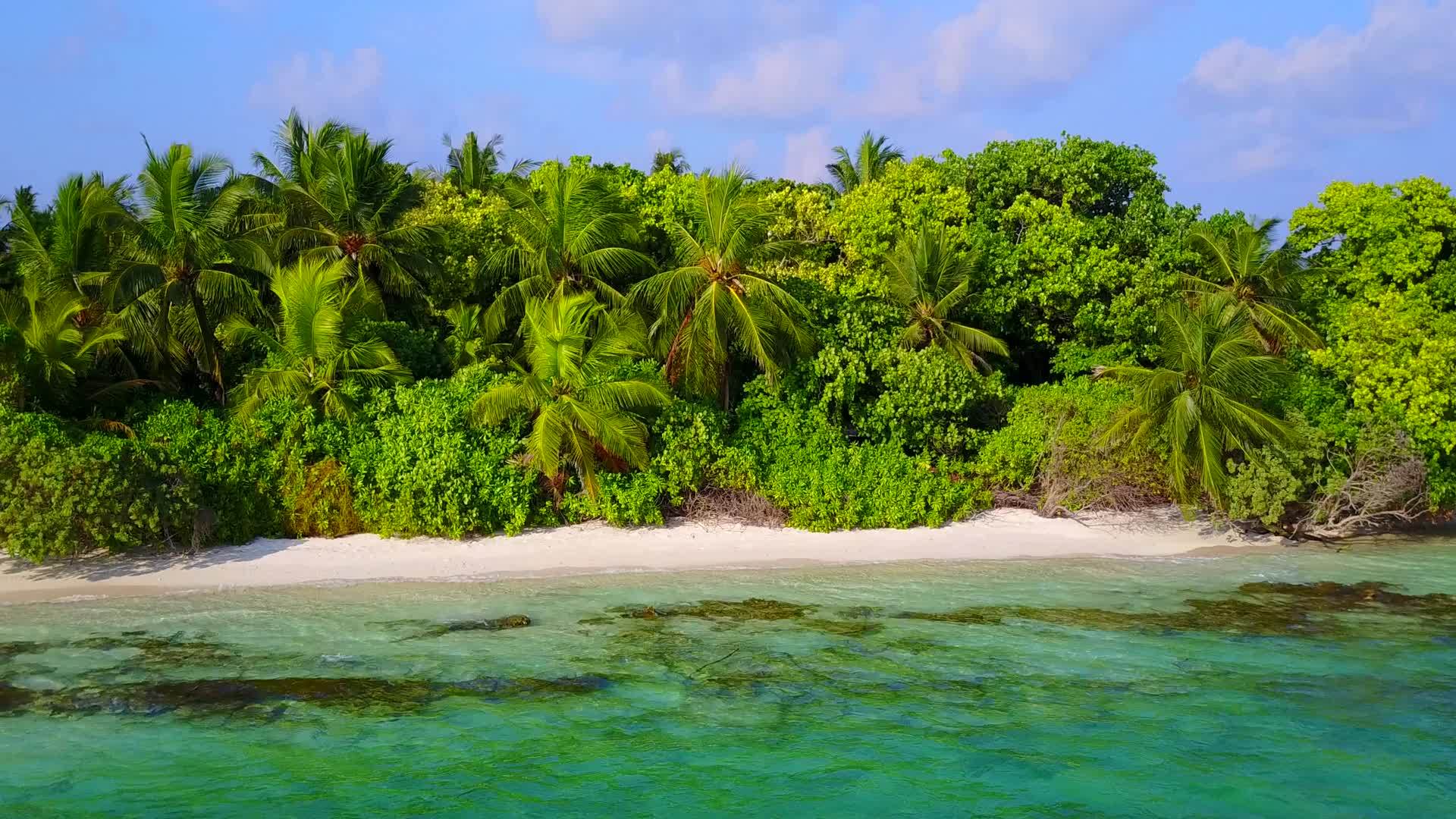 棕榈树附近有水蓝色的海水有白色的海滩背景享受田园诗般的海岸视频的预览图