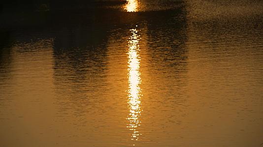 4k夕阳下湖面阳光倒影视频的预览图