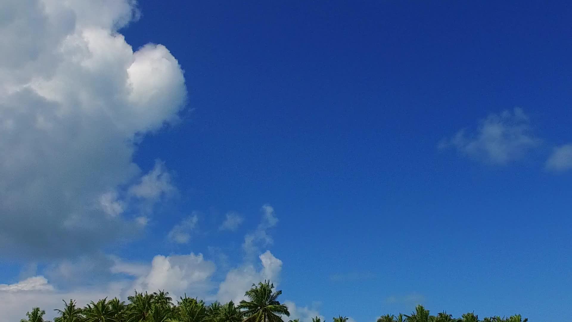 热带岛屿海滩从蓝色海洋到棕榈树蓝色海洋有白色背景视频的预览图