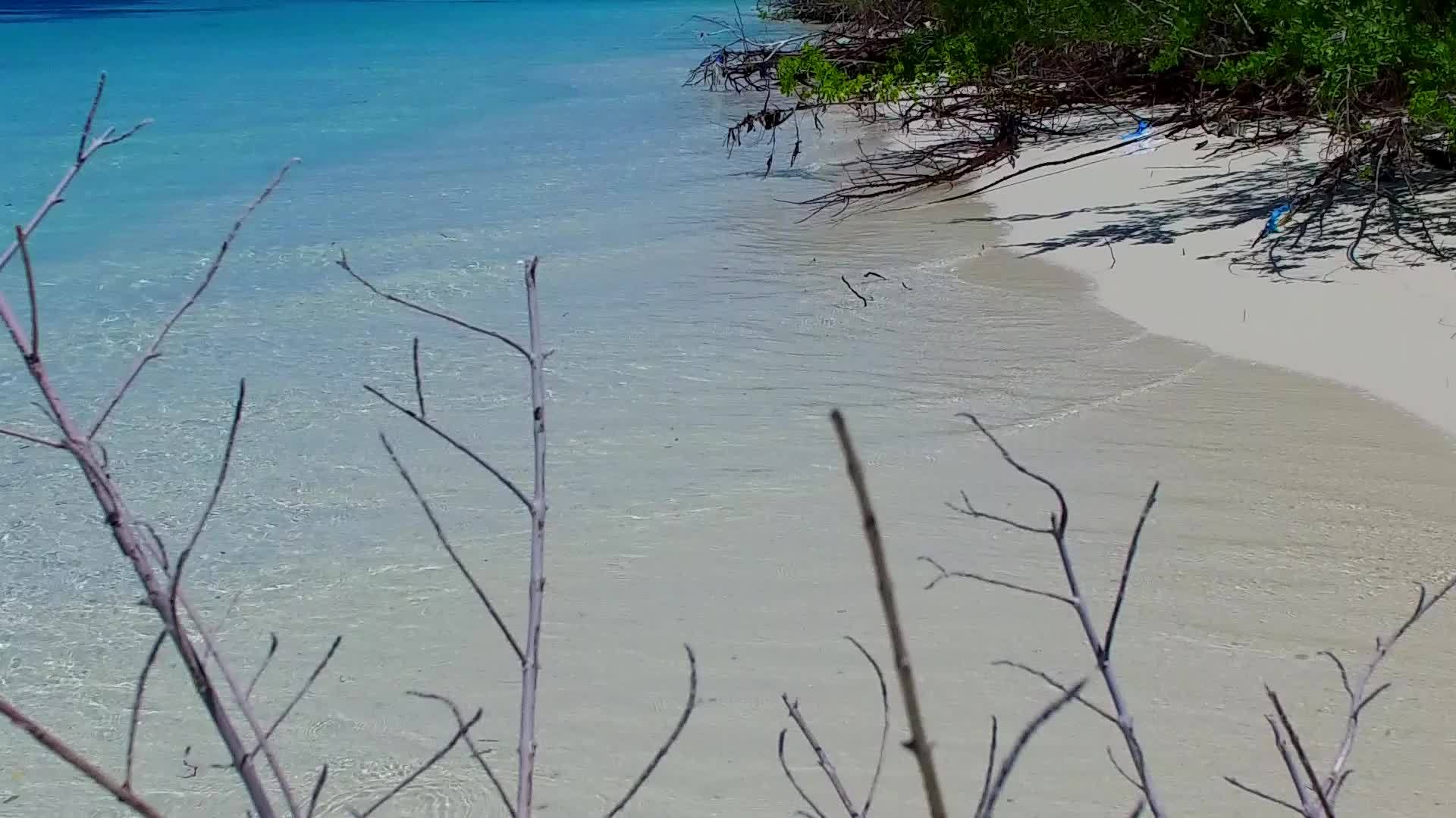 热带海岸海滩生活方式的浪漫风景是由棕榈树附近的白色沙沙作用的视频的预览图