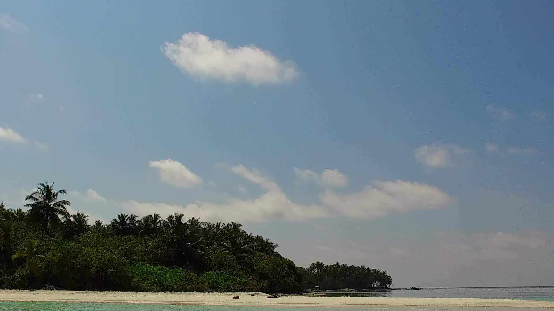 棕榈树附近的白色海滩和蓝色清澈的海洋视频的预览图