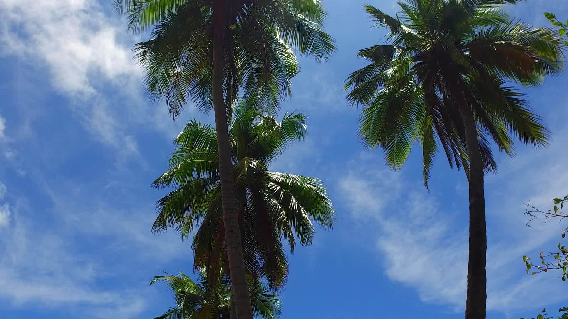 阳光下的蓝色绿水和白沙背景的海滨海滩度假日光视频的预览图