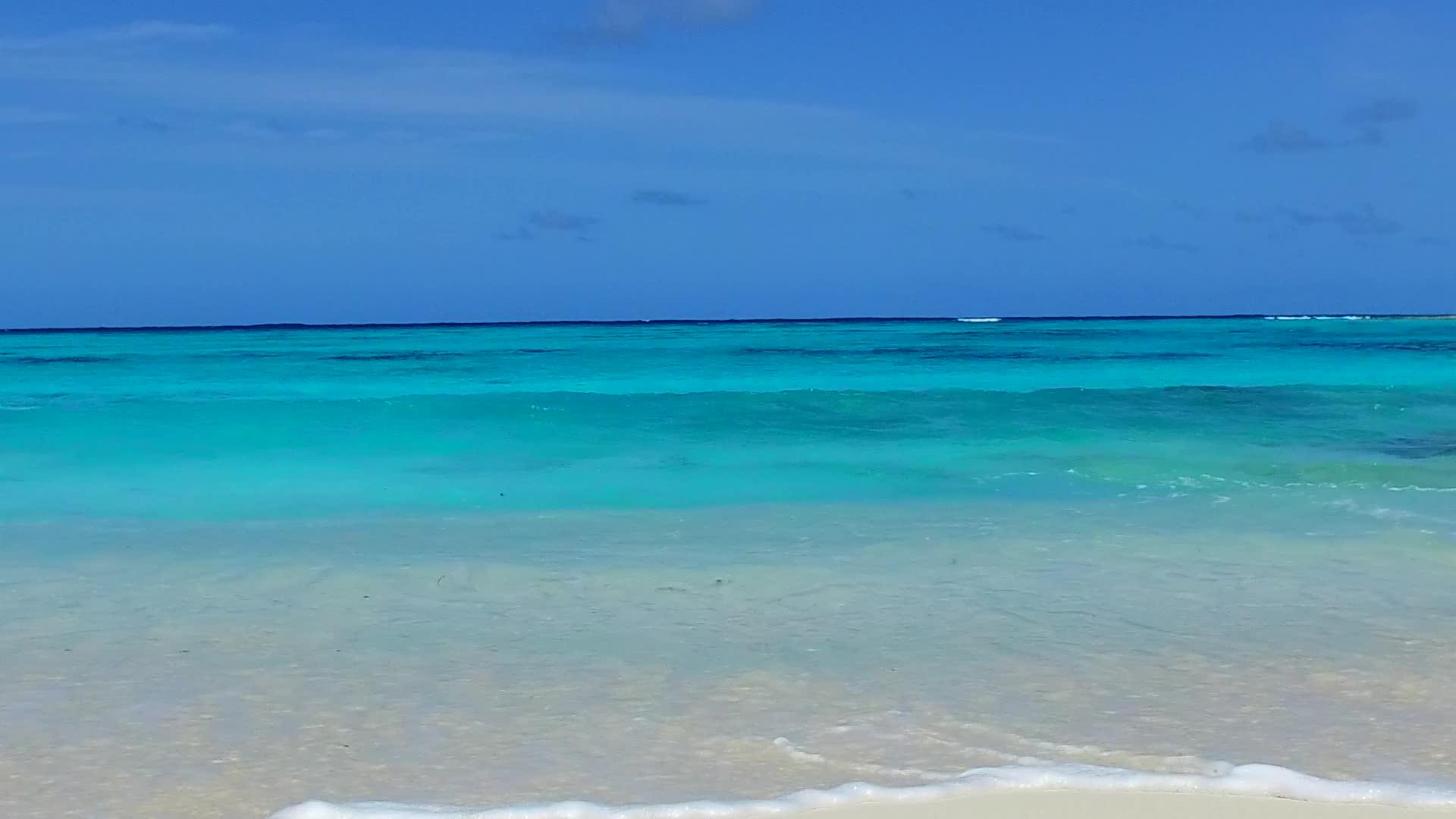 海洋湾海滩野生动物的广角性质接近波浪的白沙背景视频的预览图