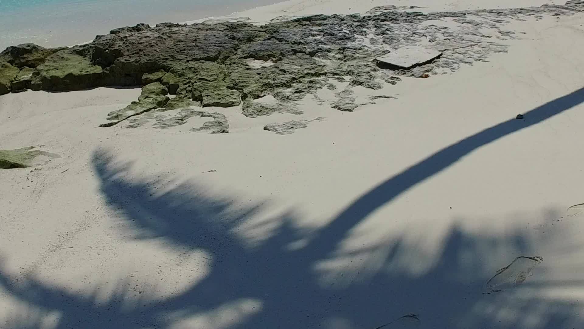 环礁湖海滩的景象视频的预览图