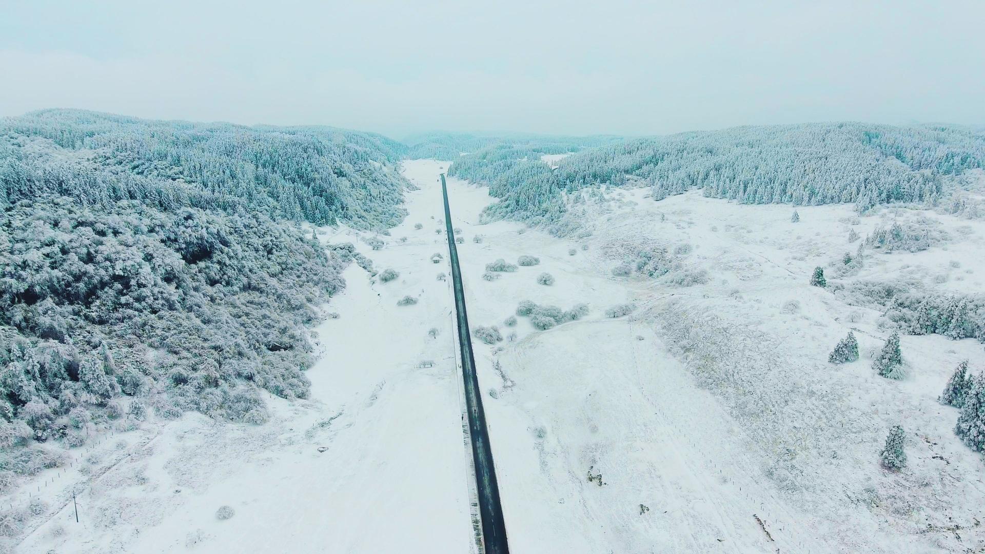 中国最美观光公路中国重庆武隆仙女山视频的预览图