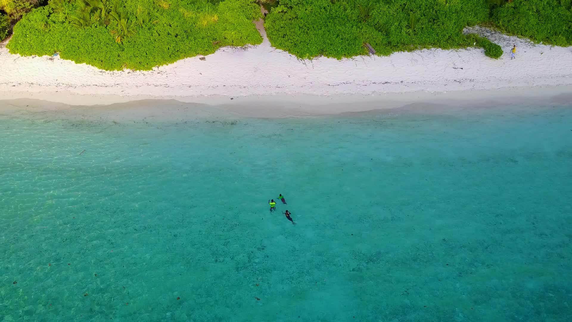 田园诗般的泻湖海滩冒险的阳光自然的蓝色海洋和冲浪视频的预览图