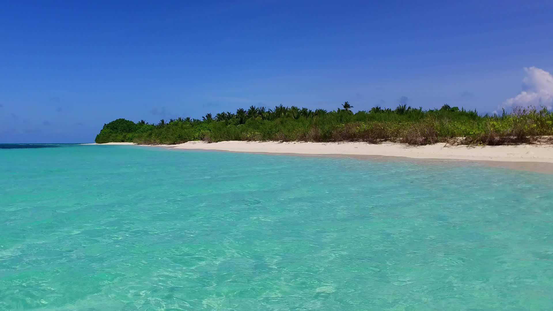 蓝色环礁湖和白色海滩背景下的热带度假胜地视频的预览图