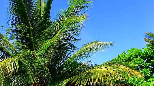阳光明媚、宁静的岛屿海滩度假胜地在蓝天和珊瑚礁附近视频的预览图