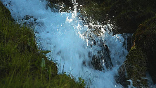 森林溪流瀑布视频的预览图