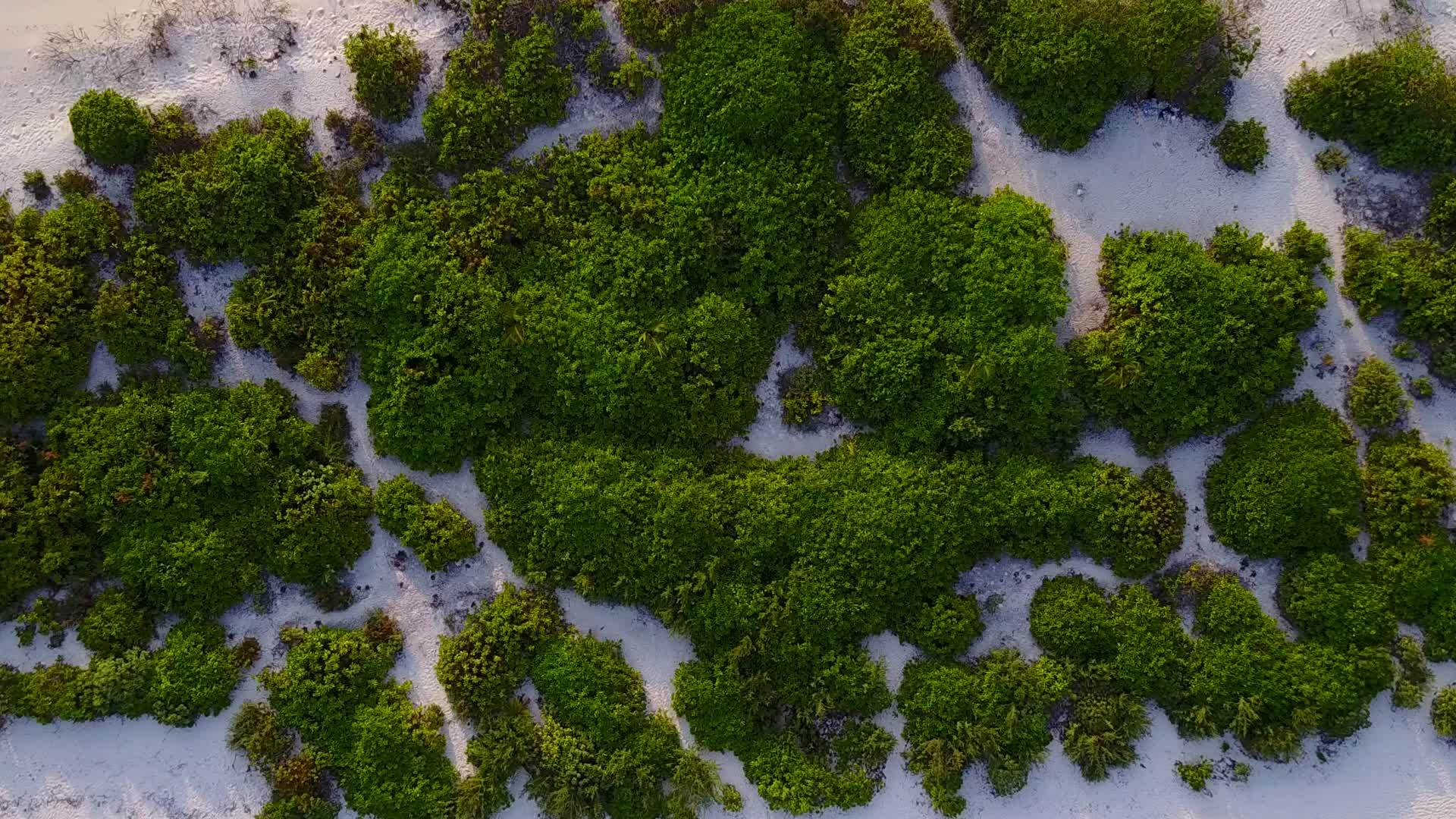 在浅环礁湖和白沙底部的棕榈湖附近视频的预览图