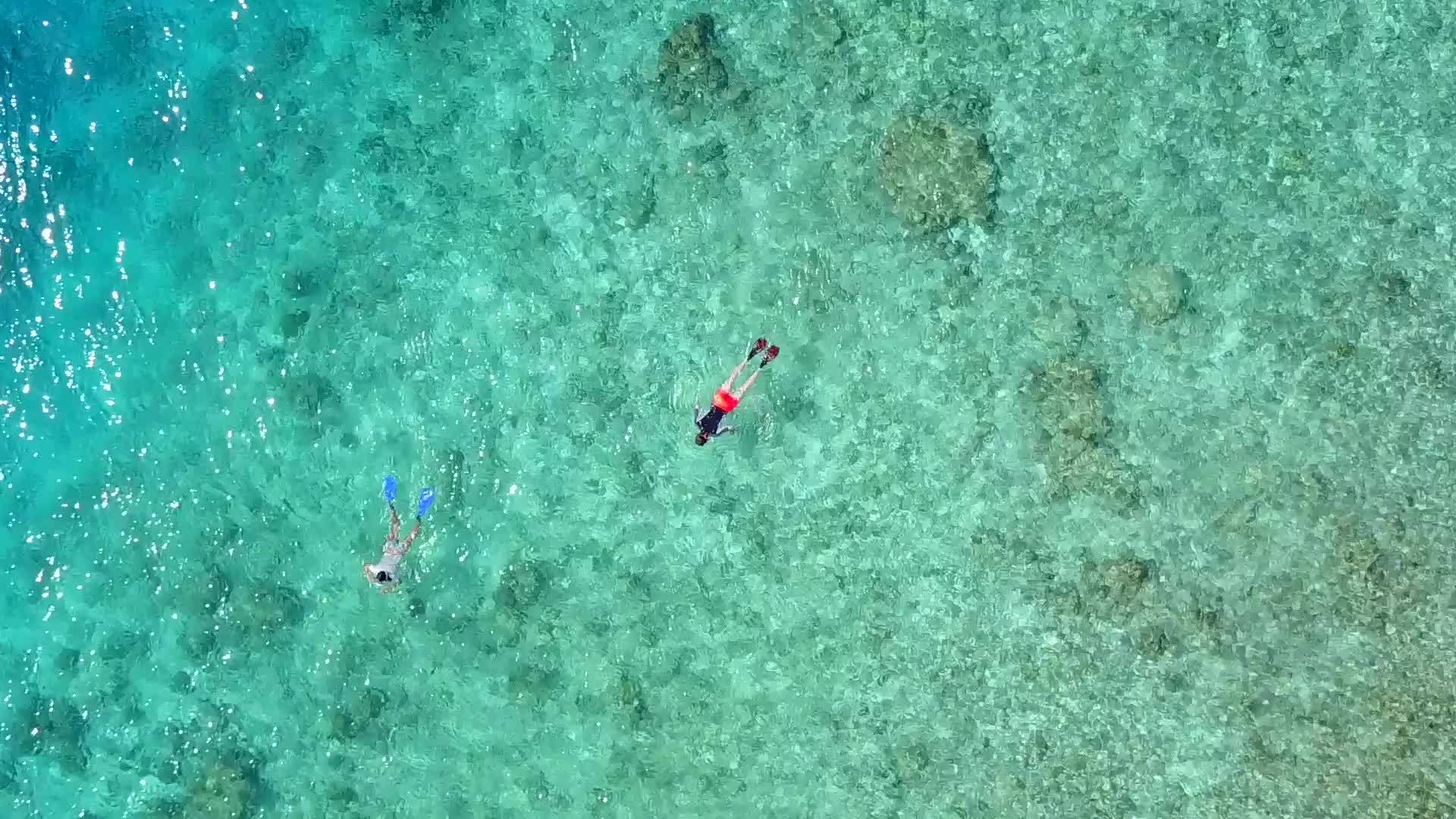 美丽的海湾海滩视频的预览图
