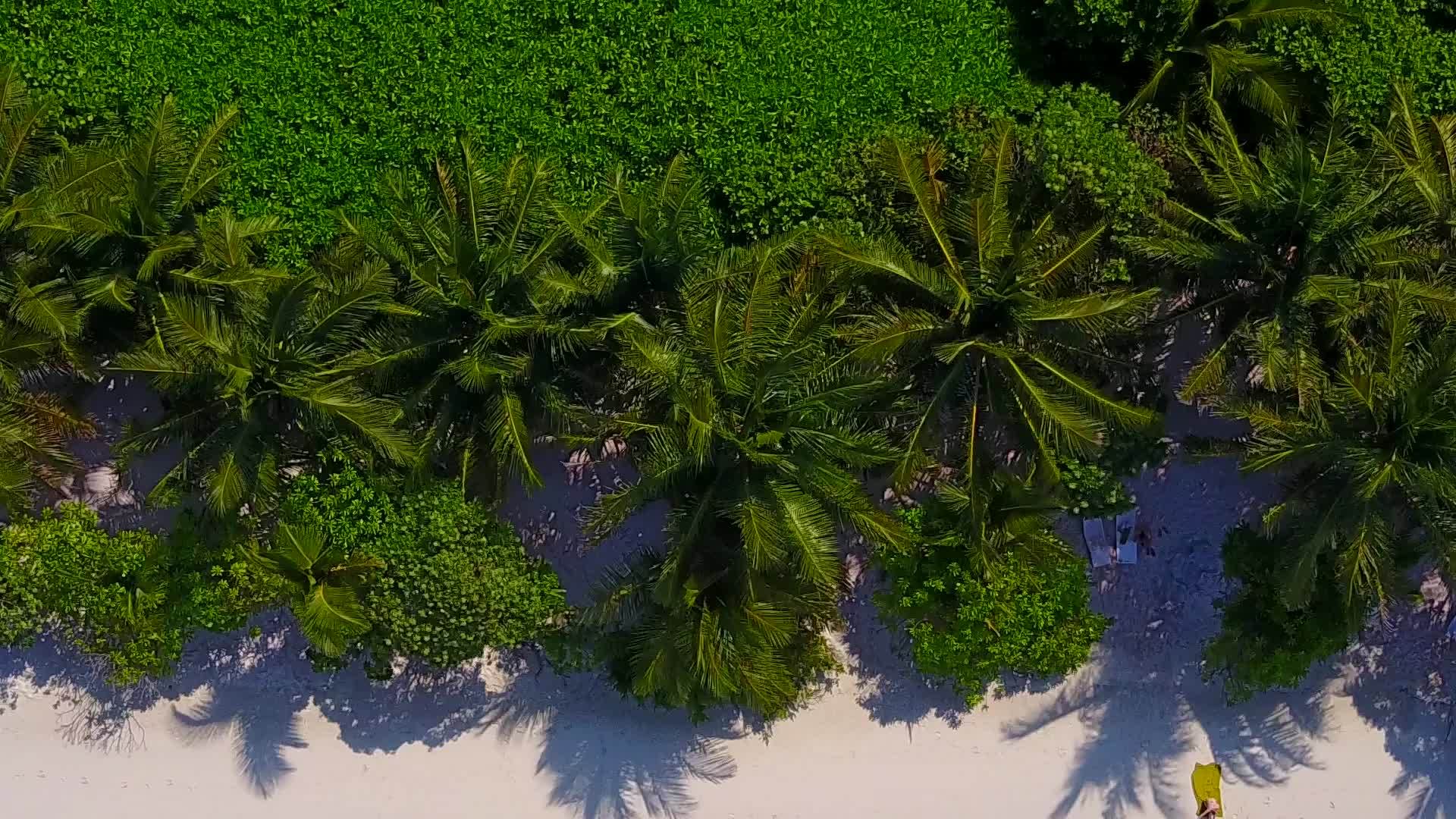 浅水和白色沙子的背景在沙巴附近的海洋和海滩时间视频的预览图