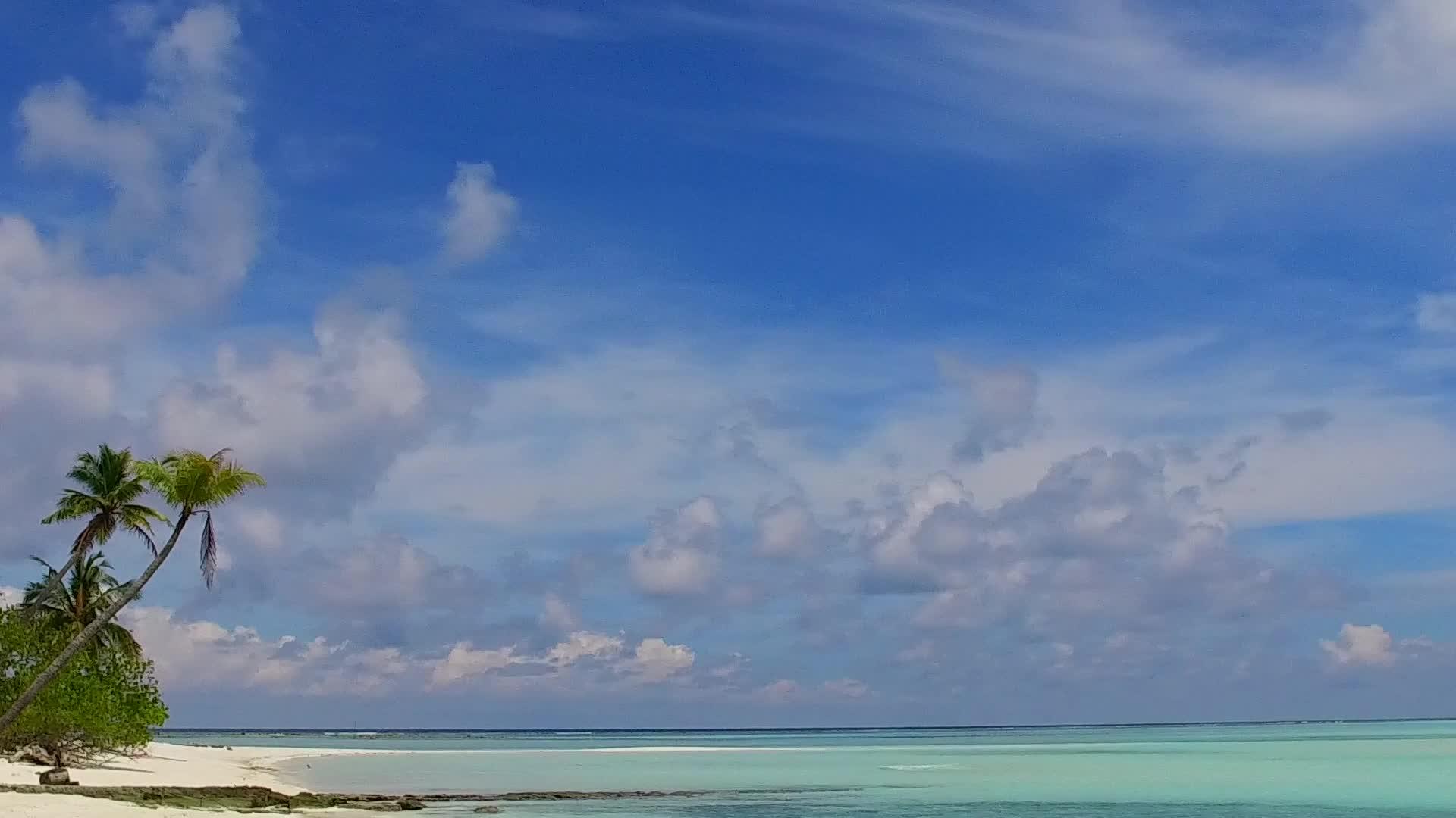 沙洲附近的蓝色绿色水田园诗般的海岸线海滩野生动物视频的预览图