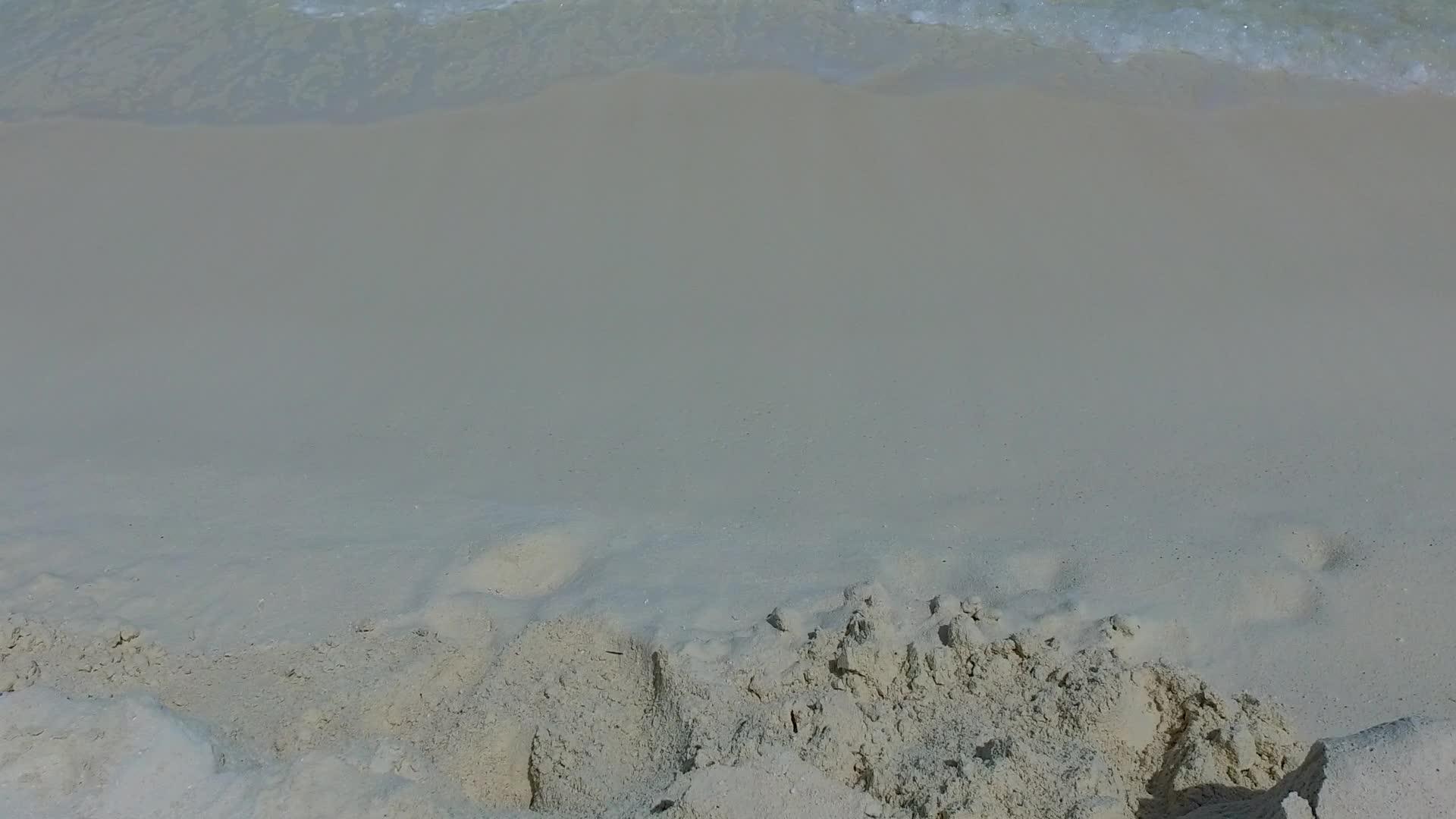 热带海岸海滩野生动物在沙洲附近的蓝绿色海洋中特写有白沙的背景视频的预览图