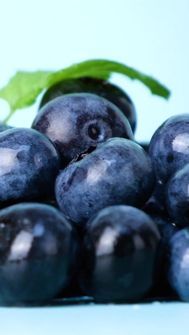 新鲜的蓝莓黑豆树水果新鲜的蓝莓水果视频的预览图