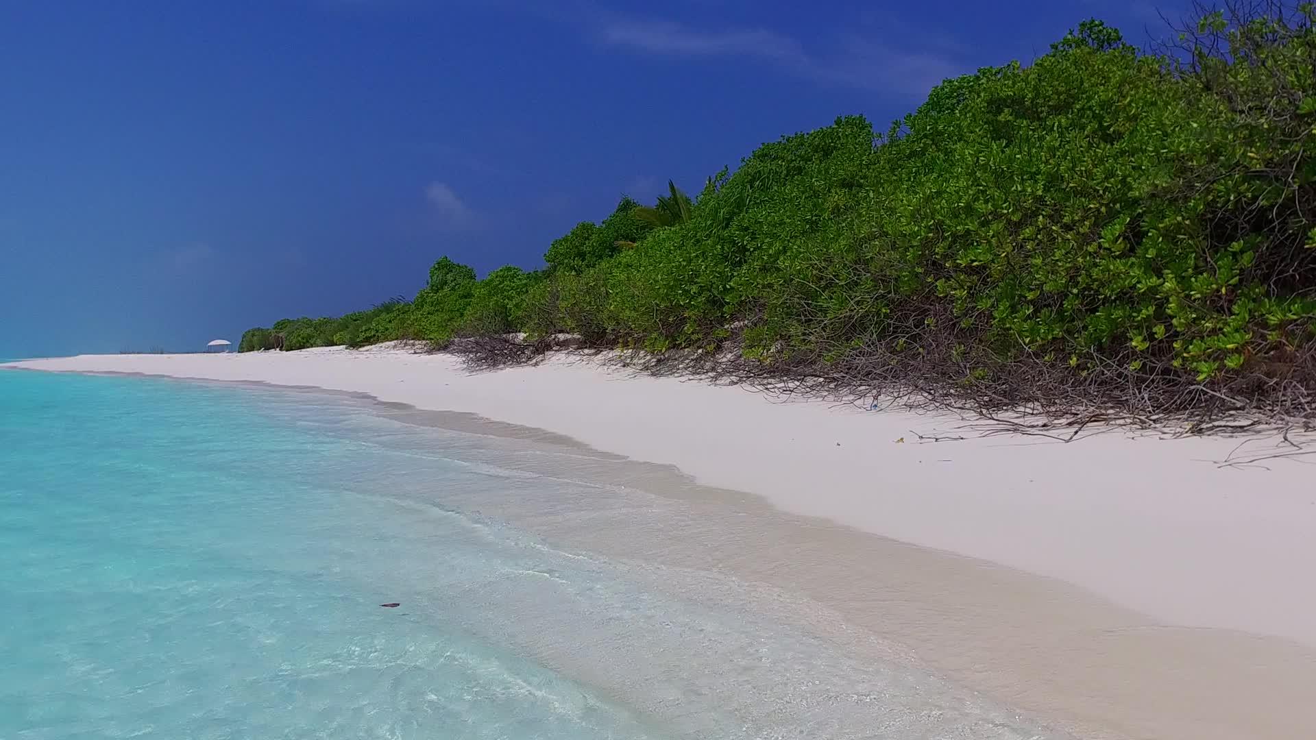 蓝色海洋和接近冲浪的白沙背景的豪华环礁湖海滩视频的预览图