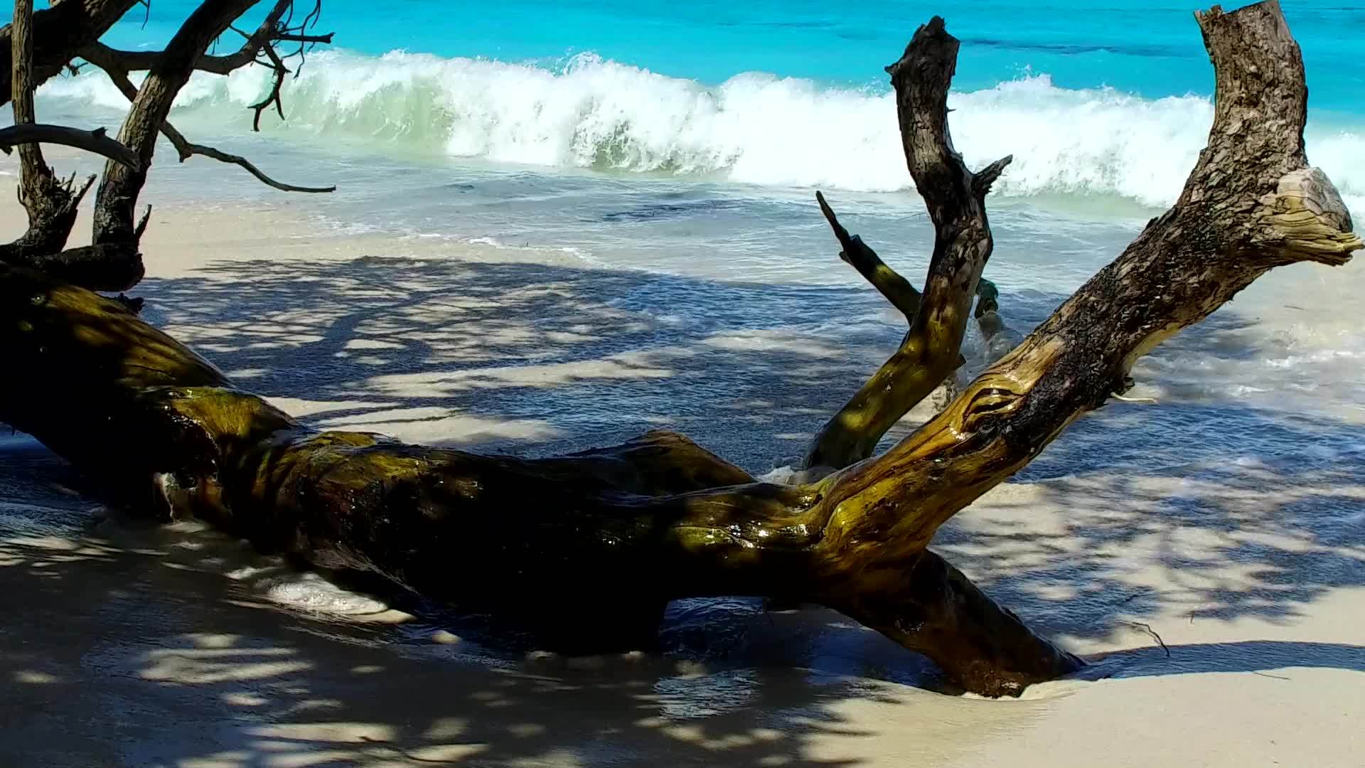 在阳光下豪华海岸海滩海滩以蓝色海洋和白色沙质为背景视频的预览图