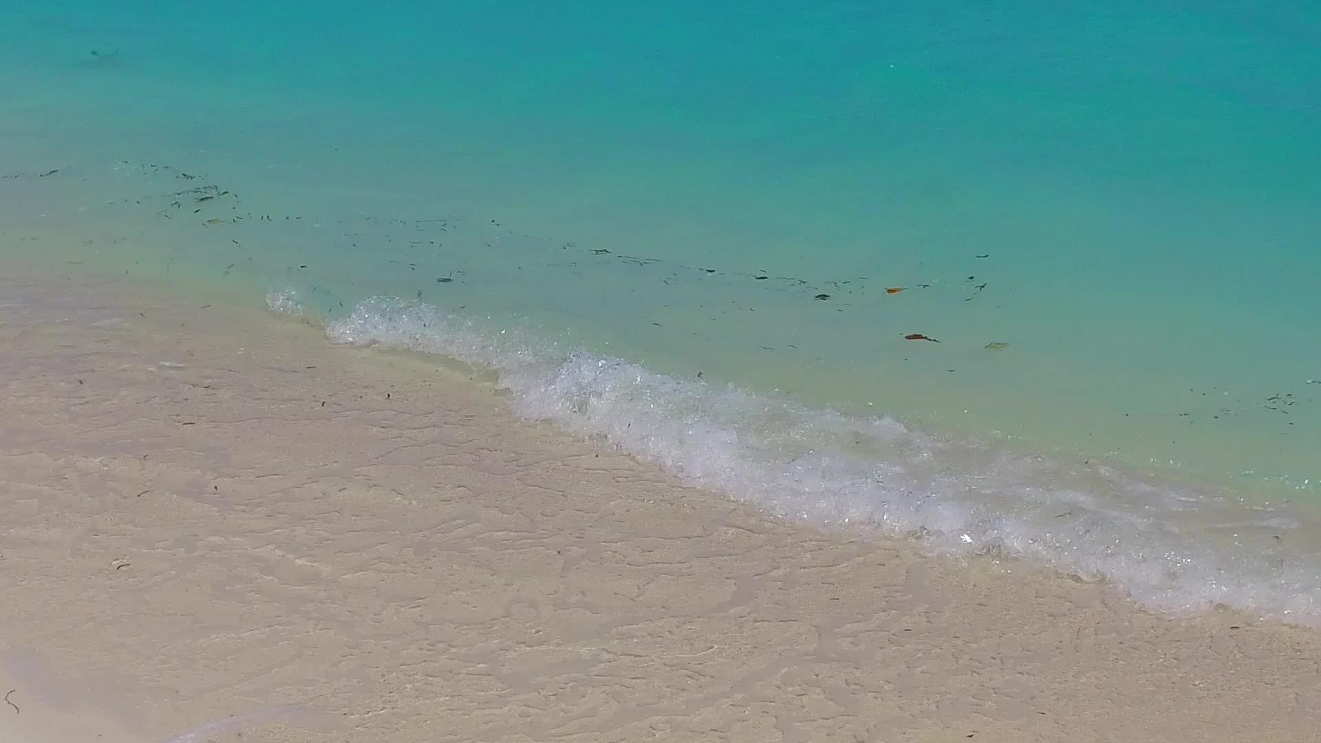 热带环礁湖海滩蓝水冲浪附近有一个白色的沙子背景视频的预览图