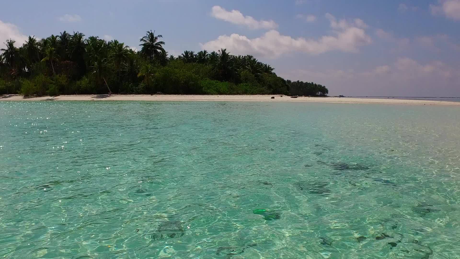阳光明媚的天堂海岸海滩纹理从蓝海到珊瑚礁视频的预览图