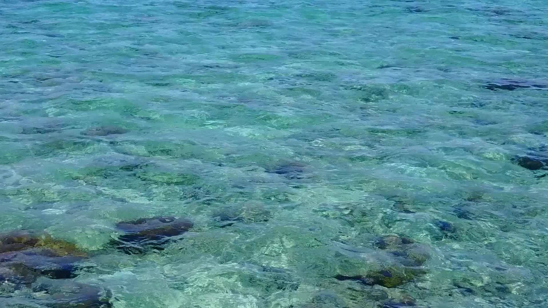 绿松石环礁和白沙环礁附近的海滨探险近在眼前视频的预览图