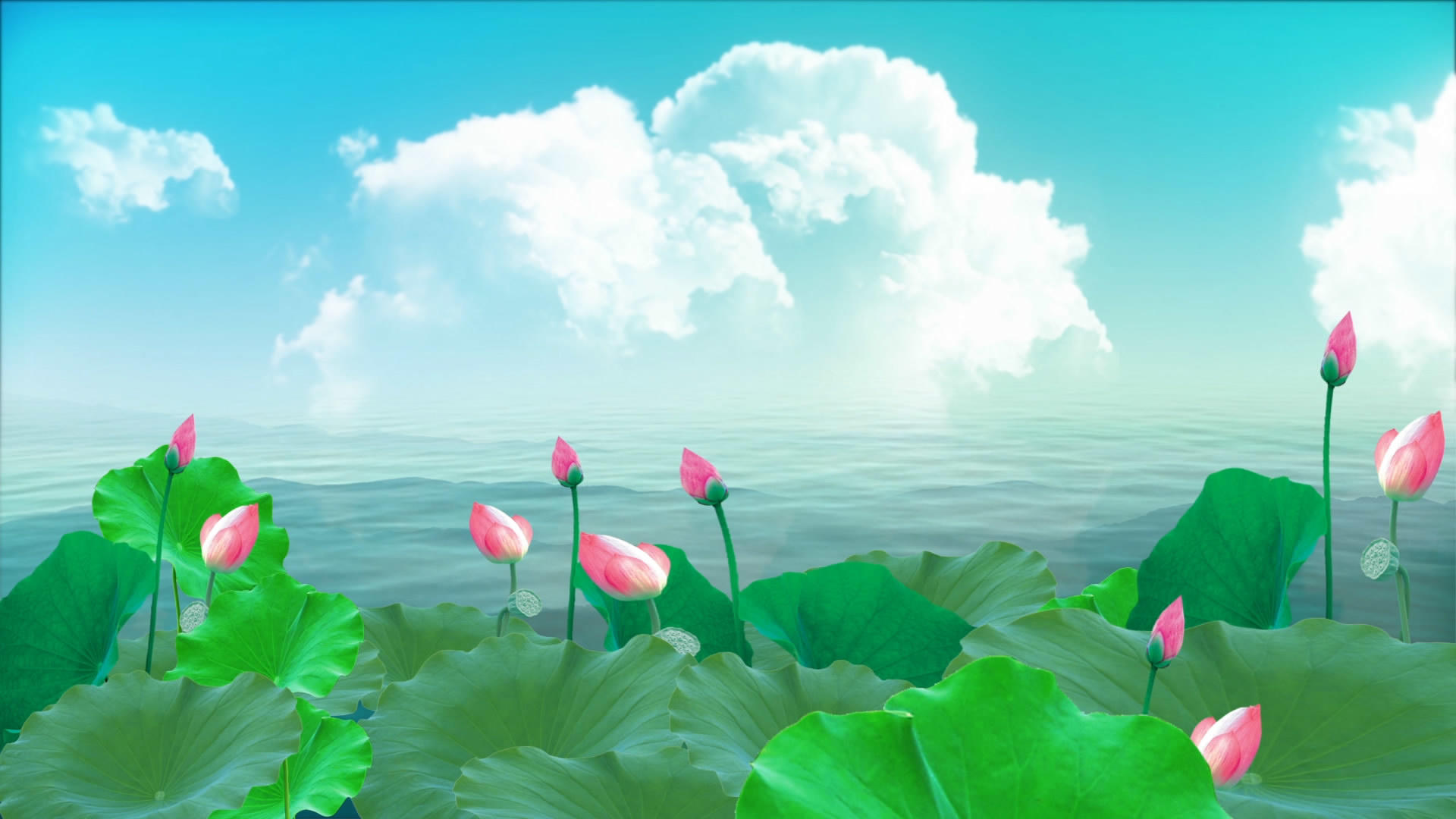 唯美的水墨莲花荷塘视频素材视频的预览图