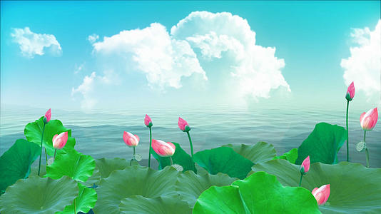 唯美的水墨莲花荷塘视频素材视频的预览图