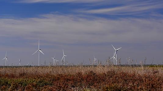 风力发电机的生态系统源视频的预览图