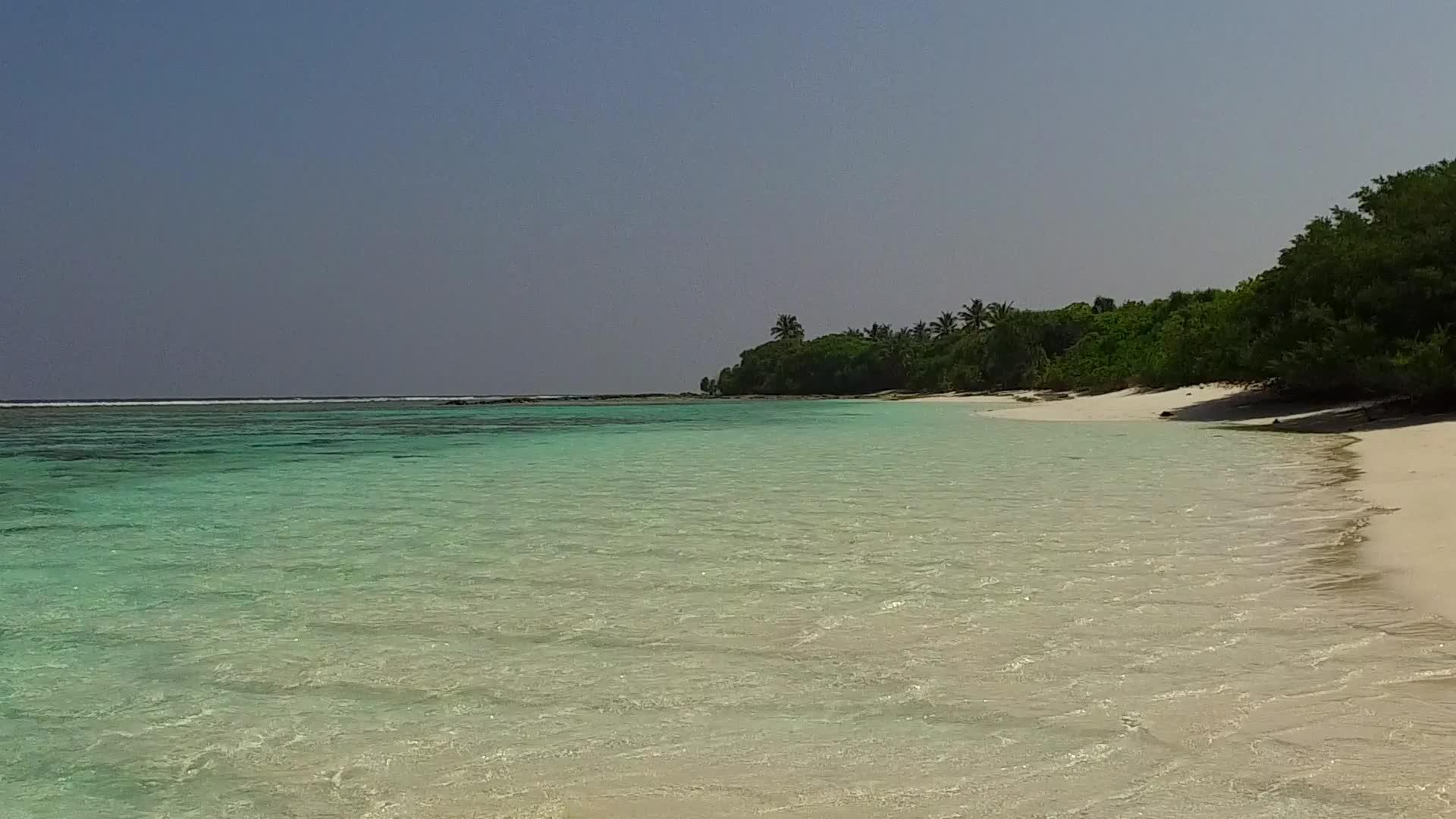 沿海海滩由蓝海航行棕榈树附近有白色的沙滩背景视频的预览图