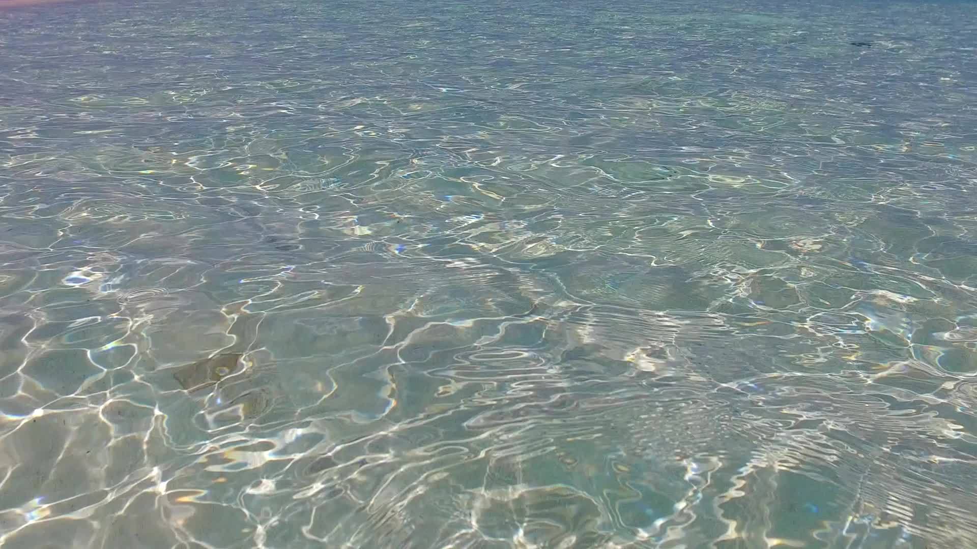 蓝色的海洋棕榈树附近有一个白色的沙底背景视频的预览图