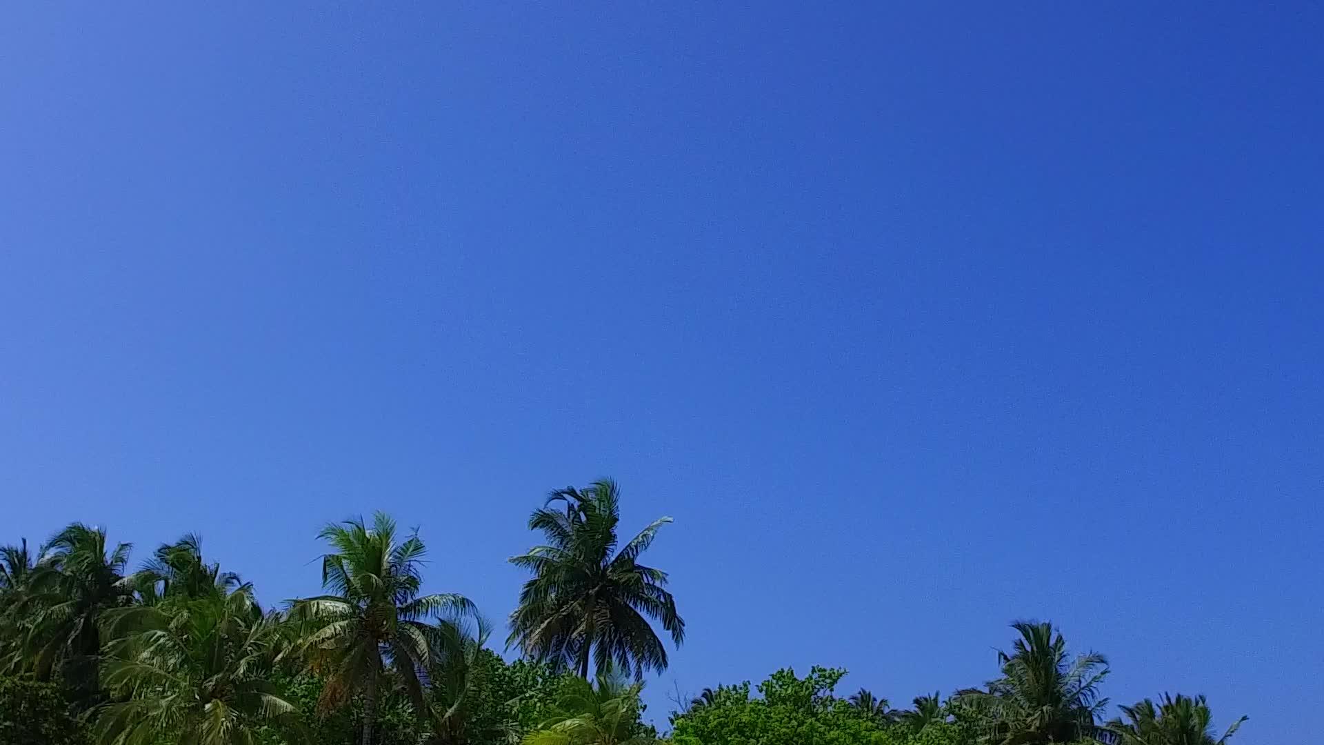 蓝色泻湖在棕榈树附近有一个白色的景下复制了异国情调视频的预览图