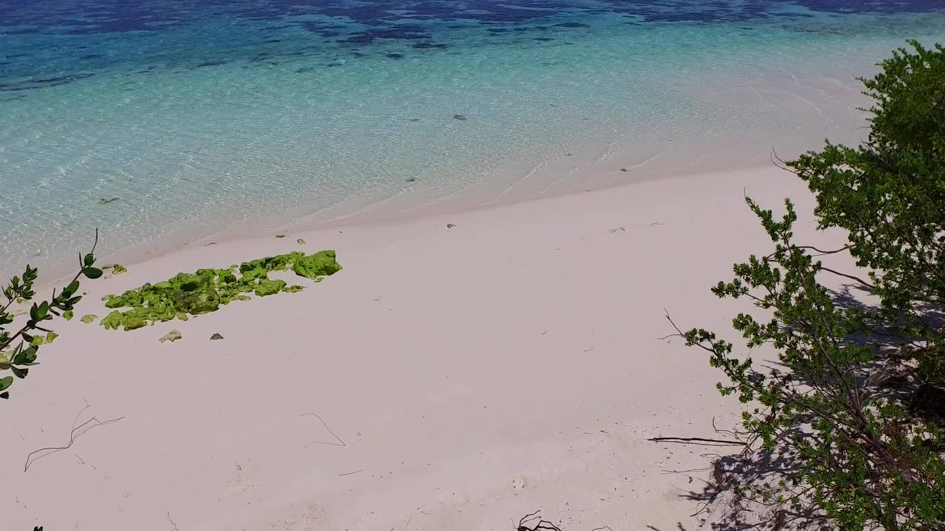 热带海岸海滩被蓝色海洋打破棕榈树附近的浅沙背景明亮视频的预览图