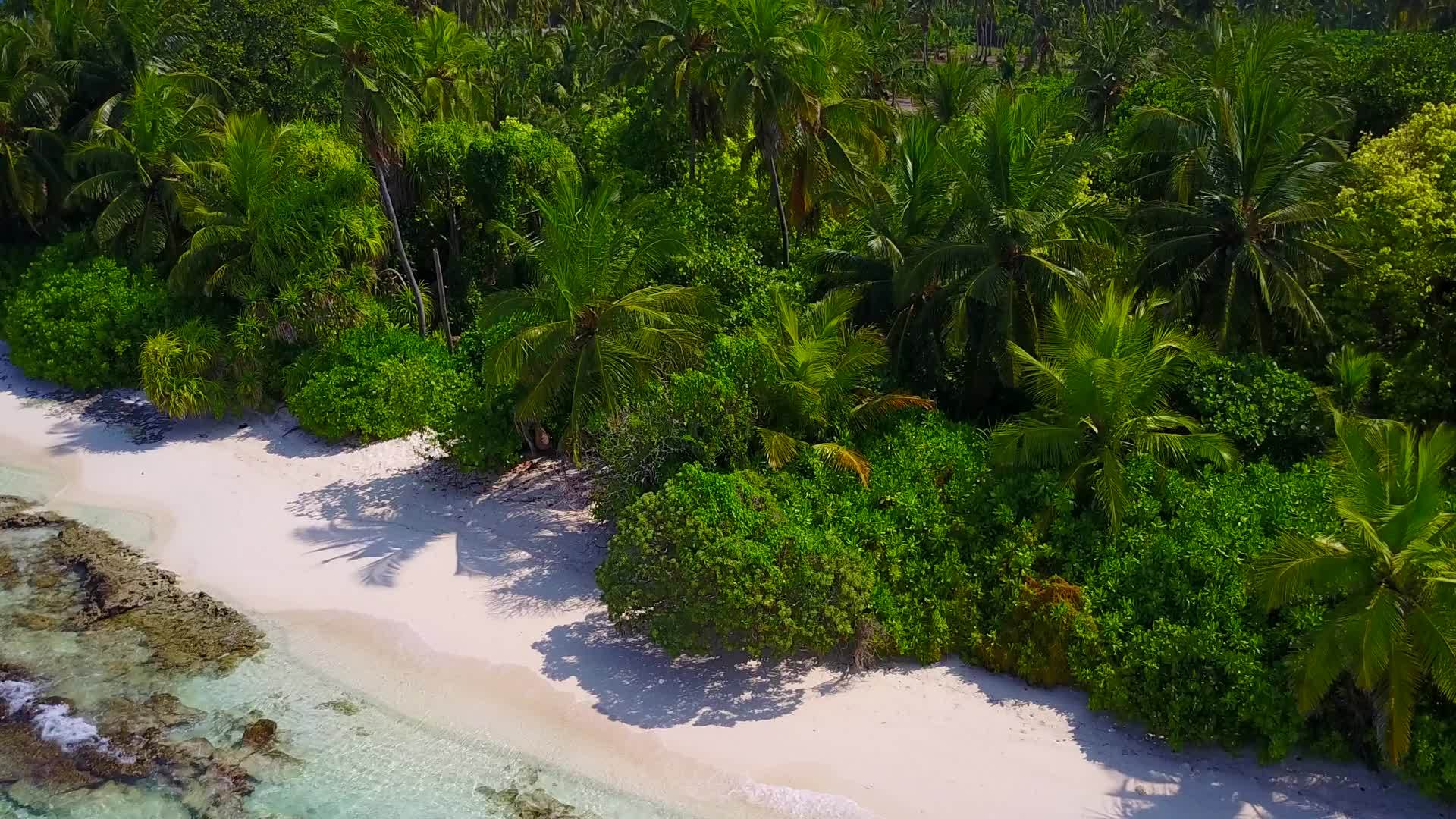 海滩的浪漫阳光视频的预览图