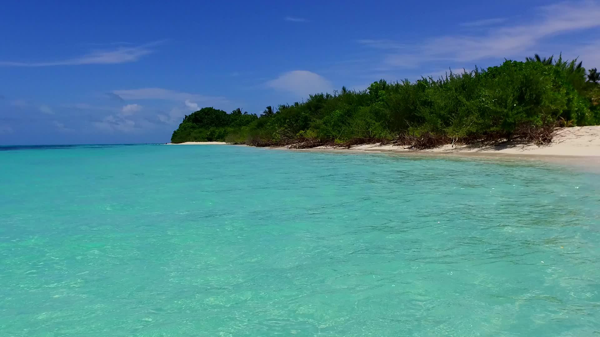 阳光明媚的海景完美的海岸海滩海景从浅海和珊瑚礁视频的预览图