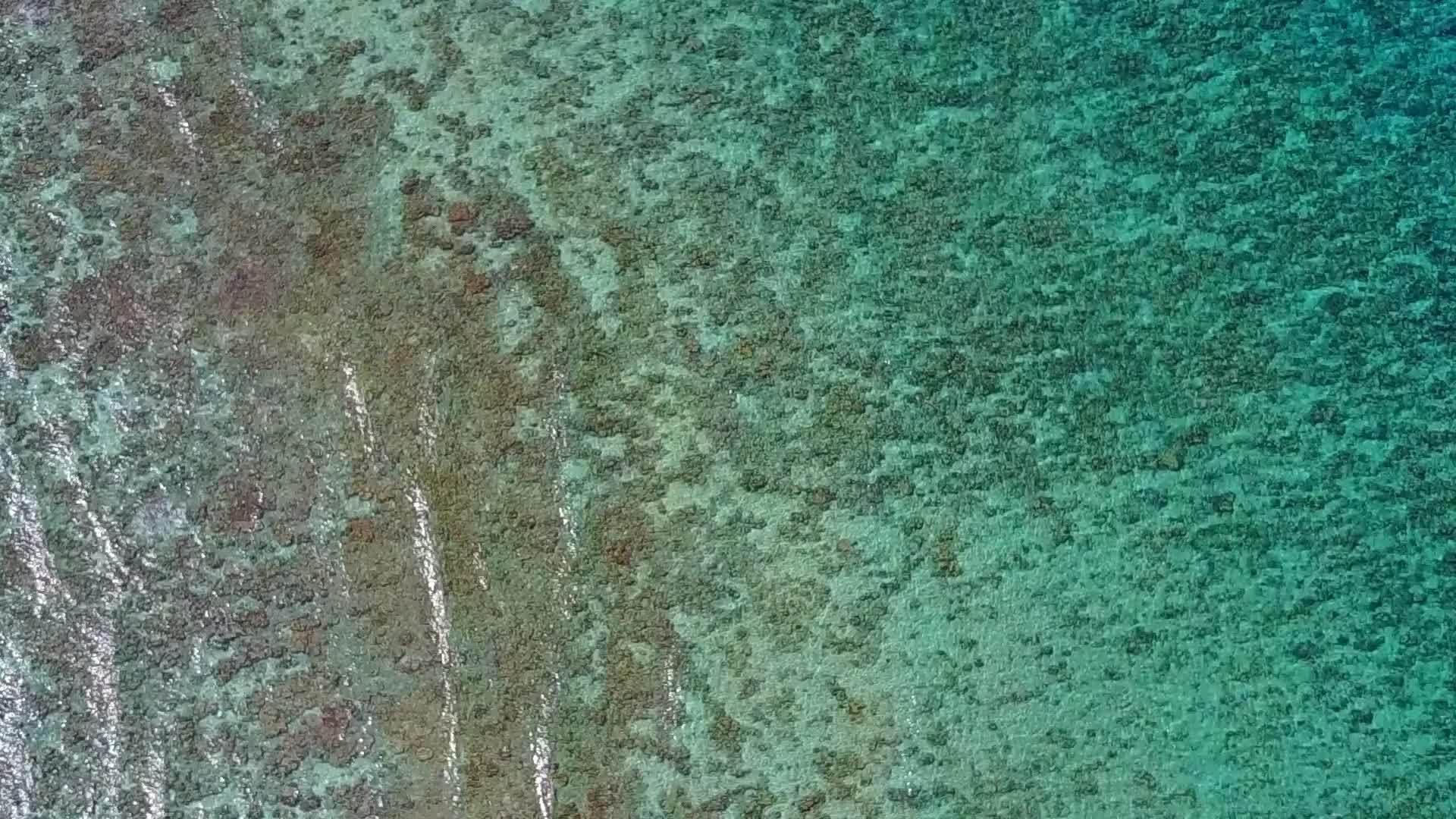 蓝色的水和棕榈树视频的预览图