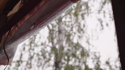 夏雨以绿树为背景雨出现在森林露营的旅游帐篷里视频的预览图