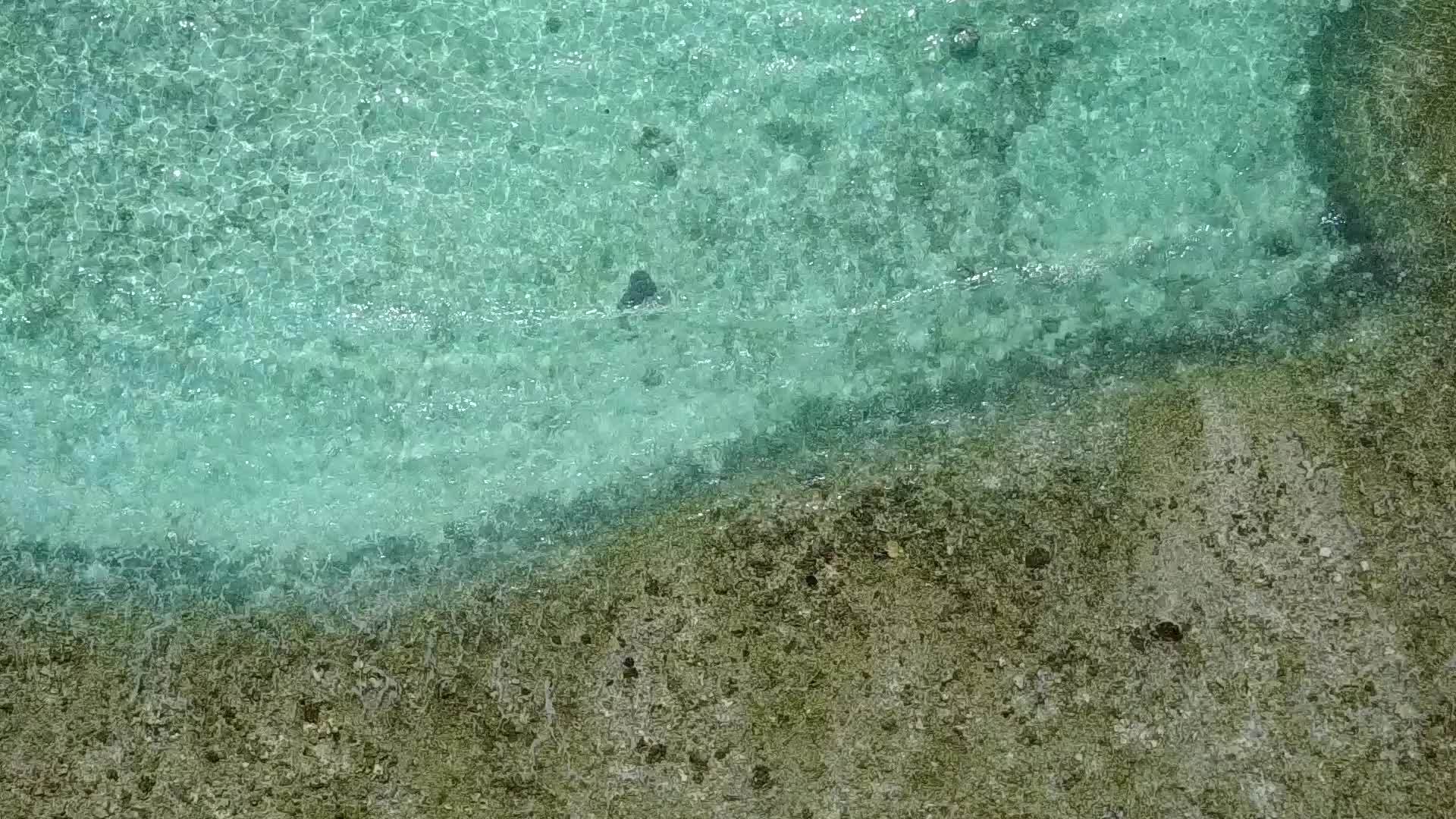 利用蓝水和海滩附近的白色沙滩背景的蓝水复制外国岛屿视频的预览图